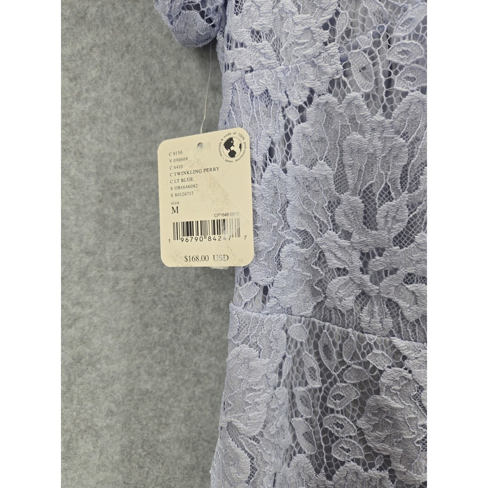 NWT FREE PEOPLE Light Blue HAILEE MINI DRESS  LACE FLORAL Cottagecore M - Picture 4 of 11